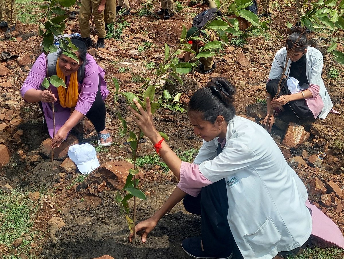 Medicos participate in the plantation drive